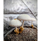Silky Rosegill Mushroom Volvariella bombycina